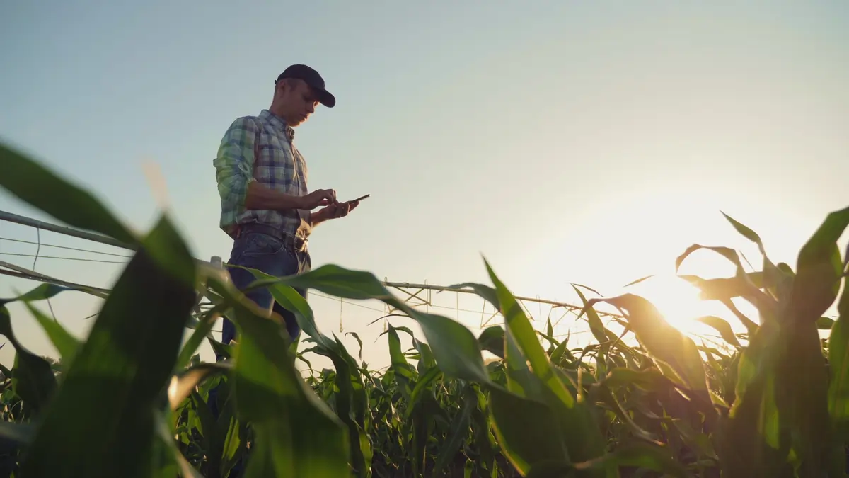 Farmer standing in field with a clipboard performing calculations